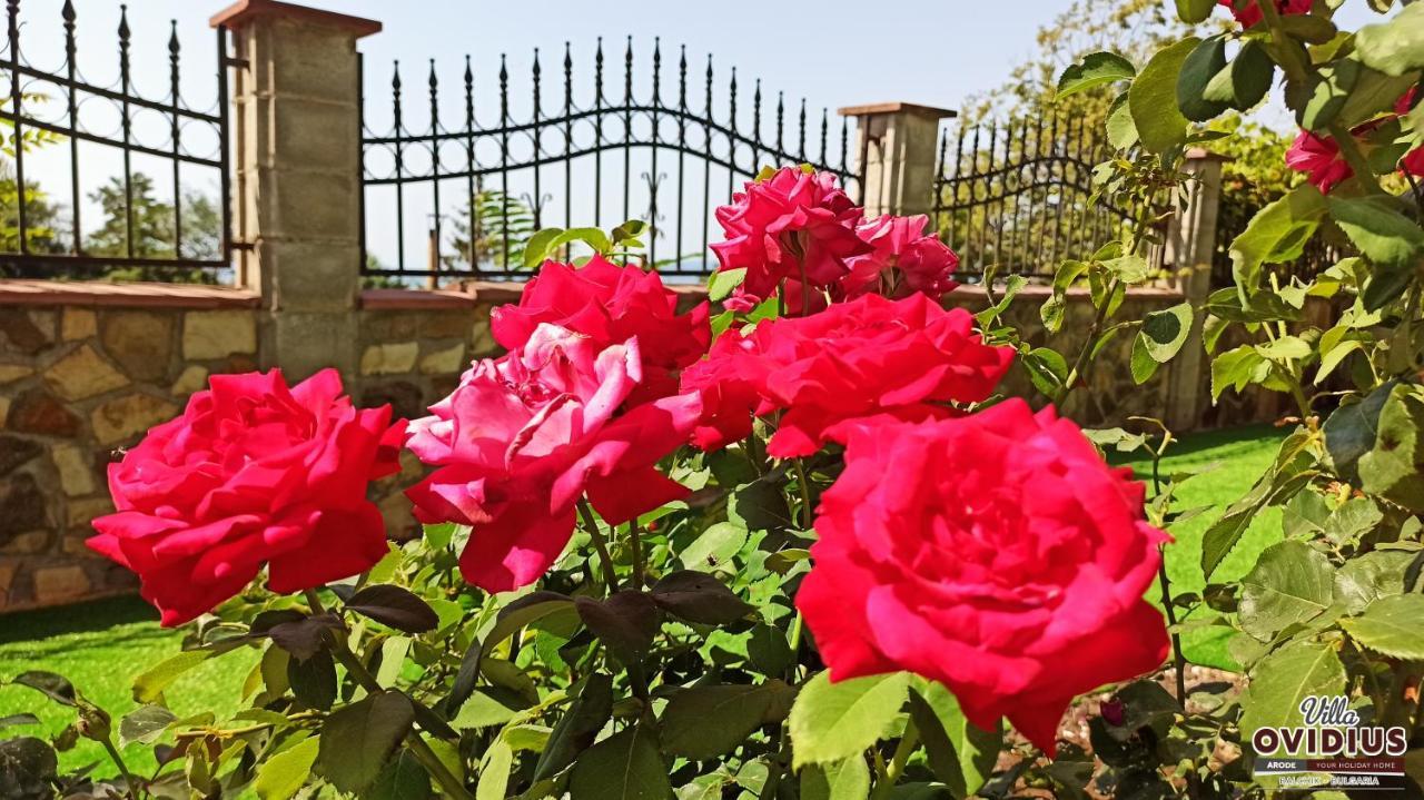 Arode Villa Ovidius بالشيك المظهر الخارجي الصورة